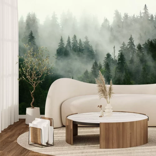 Fototapete Grüne Nadelbäume bedeckt mit Nebel