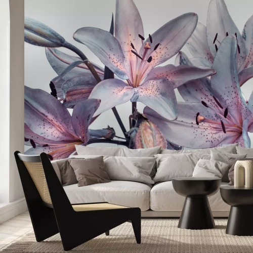 Fototapete Lilienblumen auf grauem Hintergrund