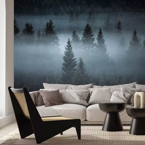 Fototapete Nebliger Nadelwaldlandschaft