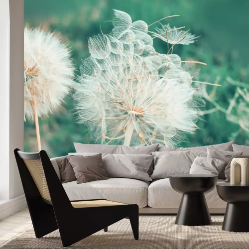 Fototapete Löwenzähne auf grünem Hintergrund