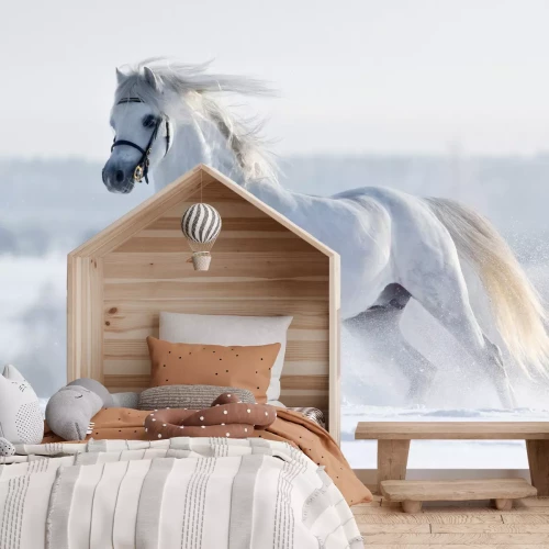 Fototapete Ein weißes Pferd galoppiert im Winter auf einem Feld