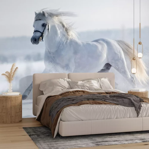 Fototapete Ein weißes Pferd galoppiert im Winter auf einem Feld