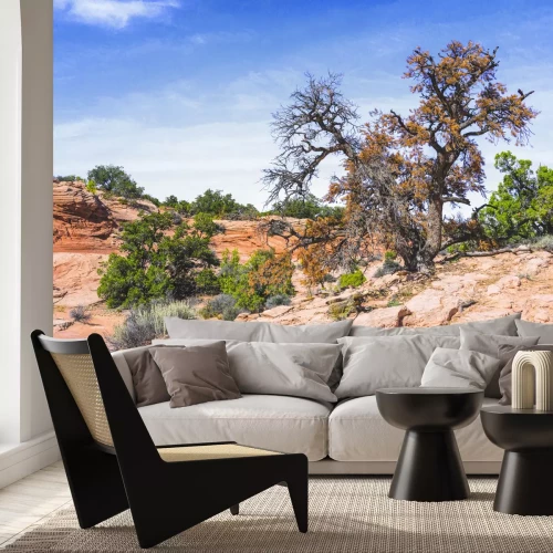 Fototapete Steinige Wüste mit Vegetation