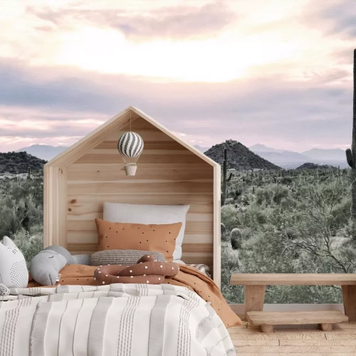 Fototapete Bewachsene Wüste mit Kakteen und Felsen