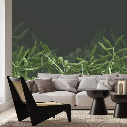 Fototapete Grüne Olivenzweige vor dunklem Hintergrund