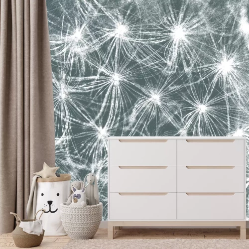 Fototapete Weiße Löwenzähne auf grauem Hintergrund