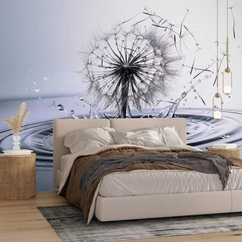 Fototapete Löwenzahn inmitten des Wassers