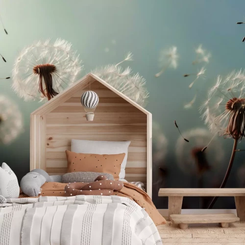 Fototapete Sommerwiese mit Löwenzahn