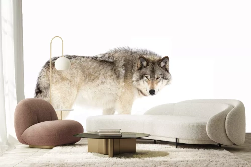 Visualisierung des Produkts