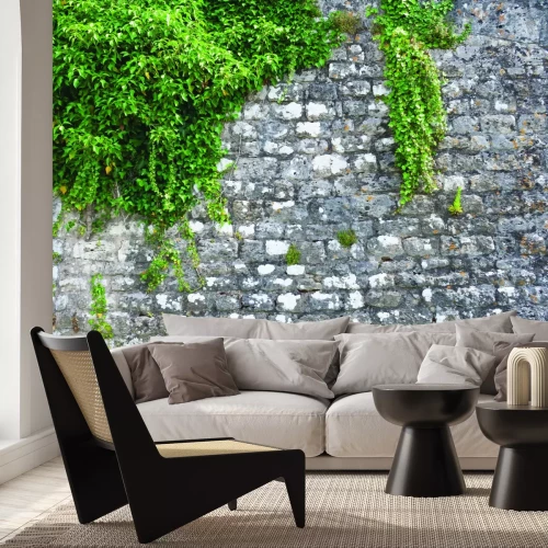 Fototapete Grüner Efeu an einer Steinmauer