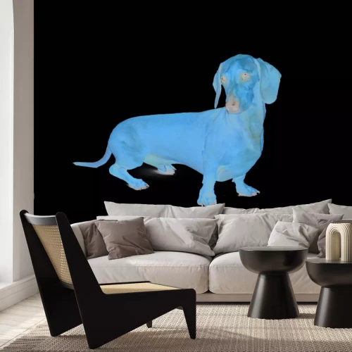 Fototapete Brauner Dackel auf weißem Hintergrund