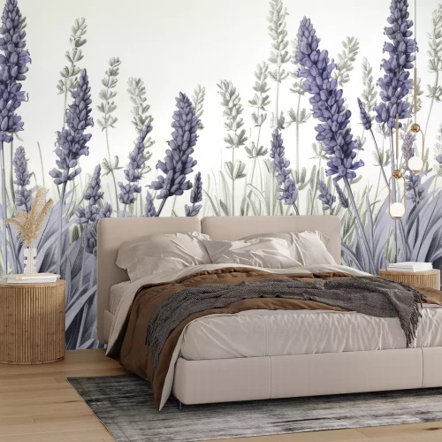 Fototapete Wiese mit Lavendelblumen