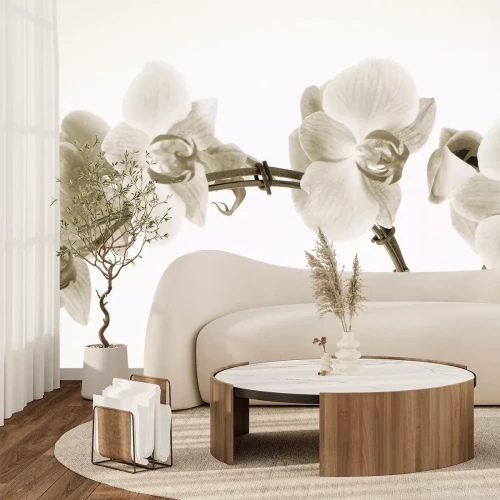 Fototapete Orchideenblüten in Sepiafarben