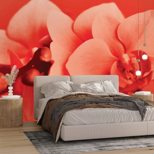 Fototapete Orchideenblüte in roten Farben