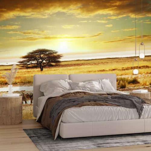 Fototapete Baum in der Mitte einer Safari mit Zebras