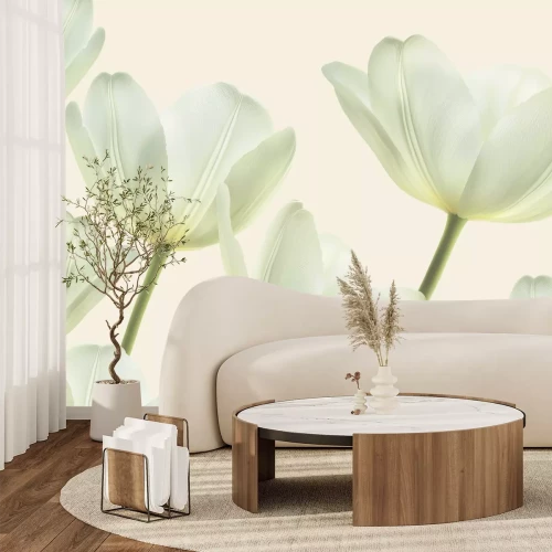 Fototapete Blühende helle Tulpenblüten