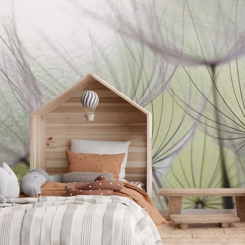 Fototapete Zarte Löwenzahnsamen auf grünem Hintergrund