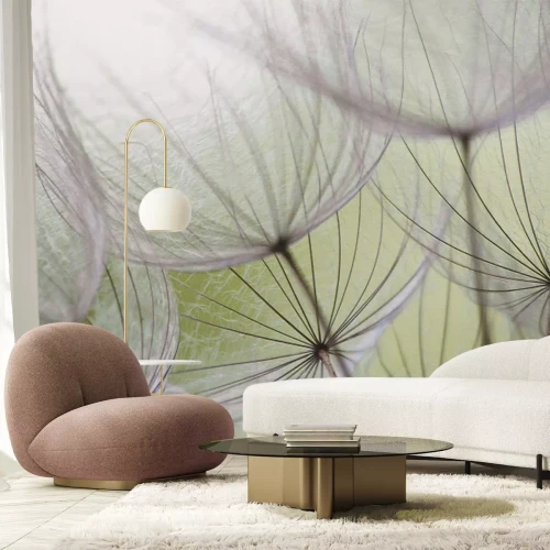 Fototapete Zarte Löwenzahnsamen auf grünem Hintergrund