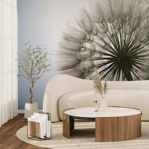 Fototapete Löwenzahn Nahaufnahme realistische Naturfotografie