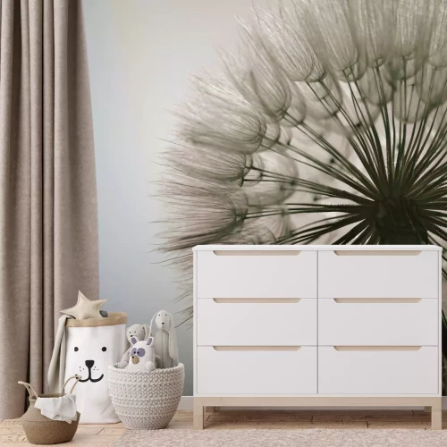 Fototapete Löwenzahn Nahaufnahme realistische Naturfotografie