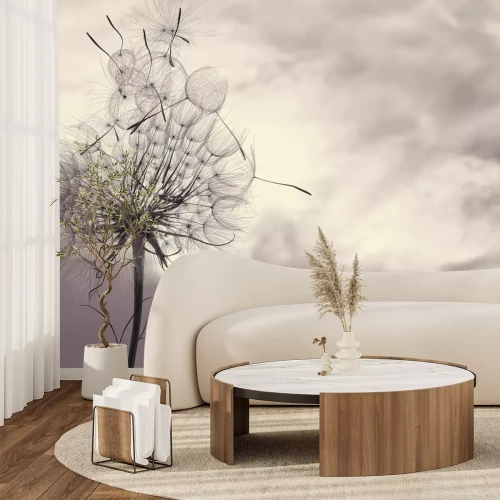 Fototapete Zarter Löwenzahn vor grauem Himmel