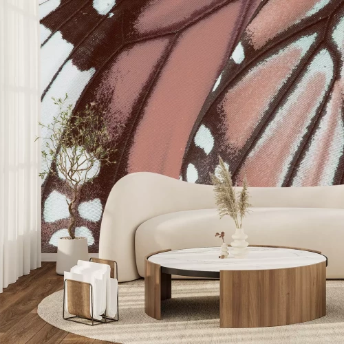 Fototapete Makroaufnahme der Textur eines Schmetterlingsflügels, detailliertes Foto