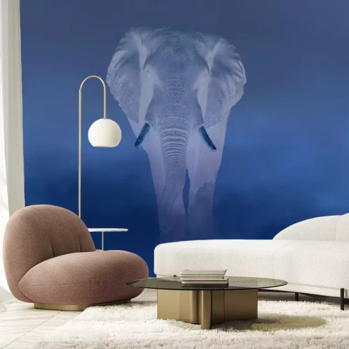 Fototapete Elefant, der im Nebel durch die Wüste geht