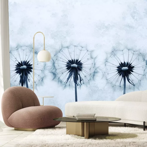 Fototapete Löwenzahn auf grauem Betont Hintergrund