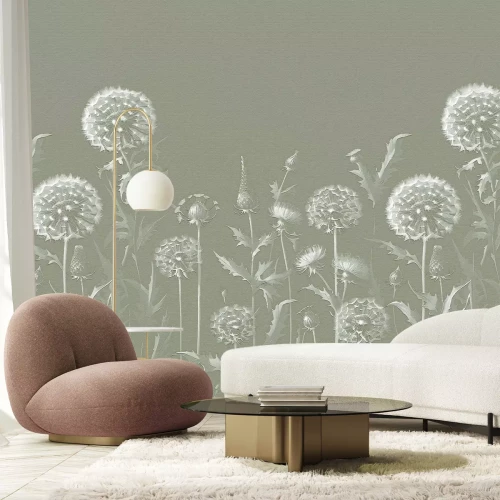 Fototapete Subtile Löwenzähne auf der Wiese