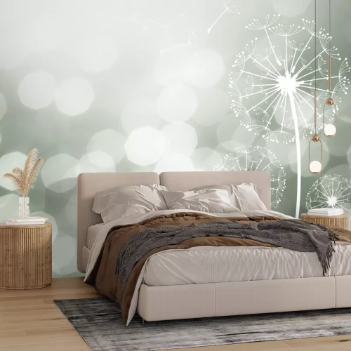 Fototapete Zarte Löwenzähne im Licht