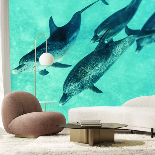 Fototapete Schöne Delfine, die im Meer schwimmen