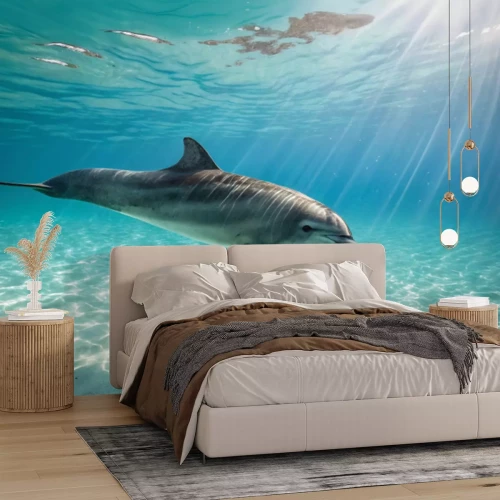 Fototapete Delfin, der auf dem Meeresboden schwimmt