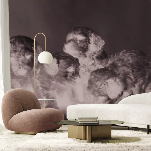 Fototapete Miniaturpudelwelpe