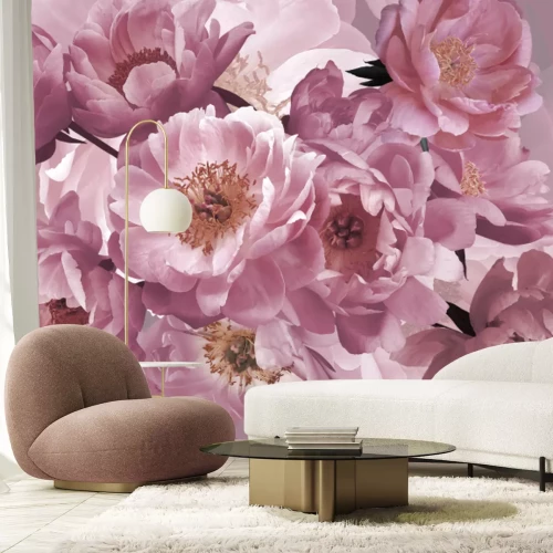 Fototapete Rosa Pfingstrosenblüten aus der Nähe