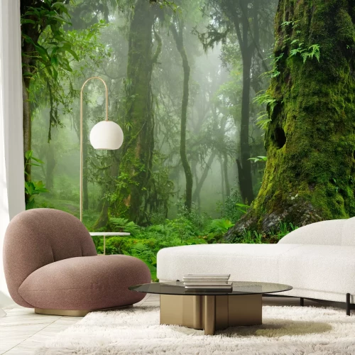 Fototapete Grüner Wald mit Bäumen im Nebel