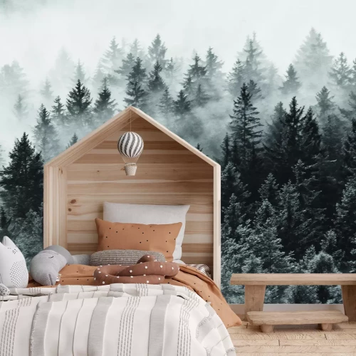 Fototapete Landschaft des Nadelwaldes im Nebel