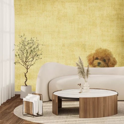 Fototapete Pudel vor einem Vintage-Strukturhintergrund