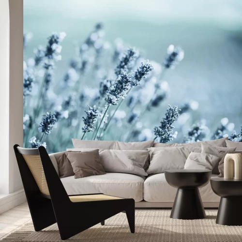 Fototapete Mit Frost bedeckte Lavendelblüten