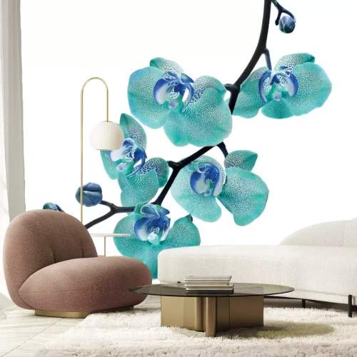 Fototapete Zweig mit einer blauen Orchidee