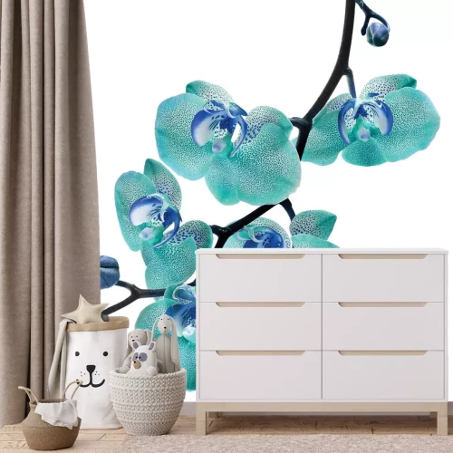 Fototapete Zweig mit einer blauen Orchidee