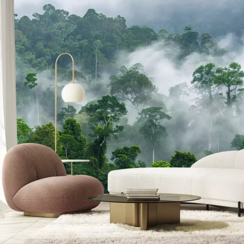 Fototapete Morgendlicher Nebel im Regenwald in Afrika