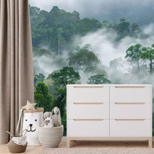 Fototapete Morgendlicher Nebel im Regenwald in Afrika