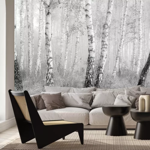 Fototapete Schwarz-weißer Birkenwald
