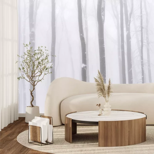 Fototapete Birken im Nebel Winterlandschaft