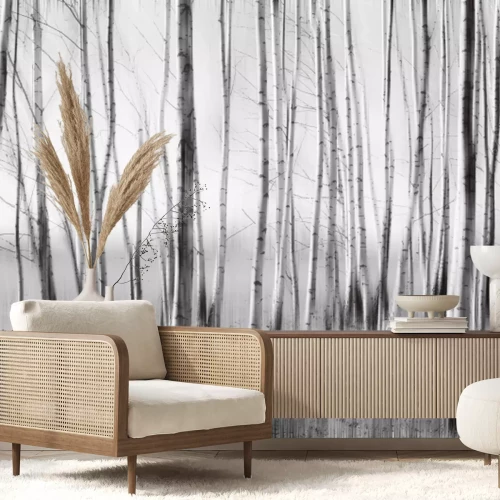 Fototapete Monochromatischer Birkenwald Illustration