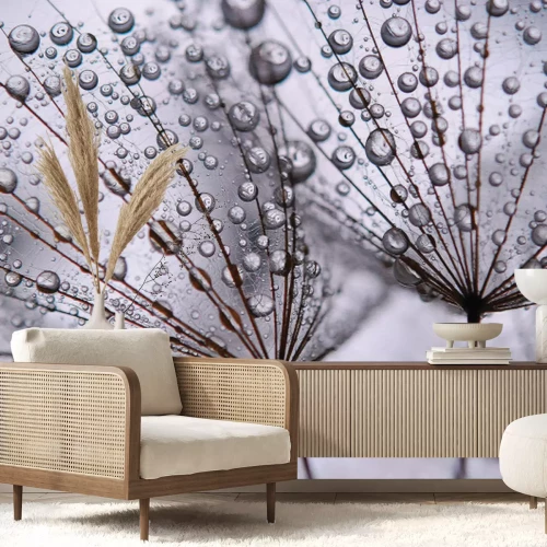 Fototapete Löwenzahnsamen mit Wassertropfen Nahaufnahme