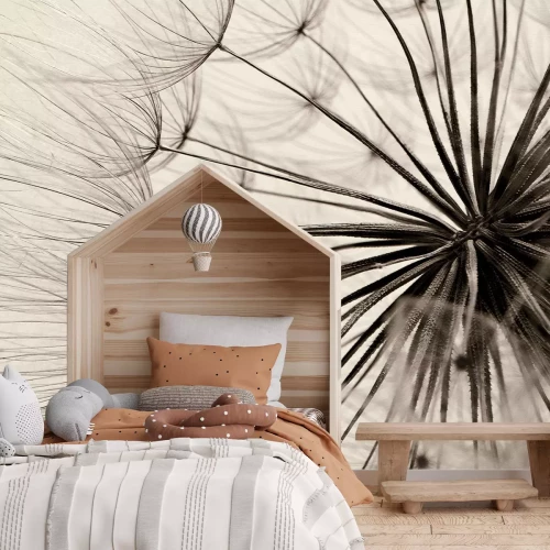 Fototapete Retro Blume Löwenzahn Nahaufnahme