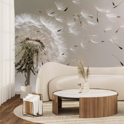 Fototapete Löwenzahn mit Samen im Wind botanische Grafik