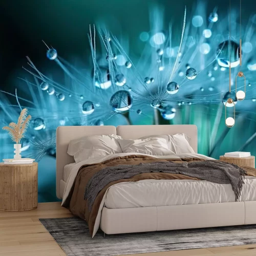 Fototapete Dandelion Seeds in droplets of water on blue and turquoise beautiful background with soft focus in nature macro.