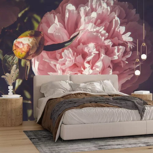 Fototapete Blumiger Hintergrund mit Pfingstrosen